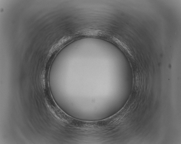 X0000083660682200703051752