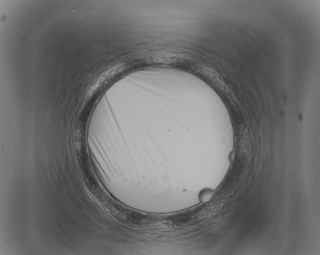 X0000083660683200703051752