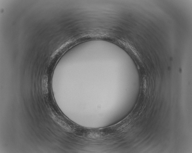 X0000083660684200703051752