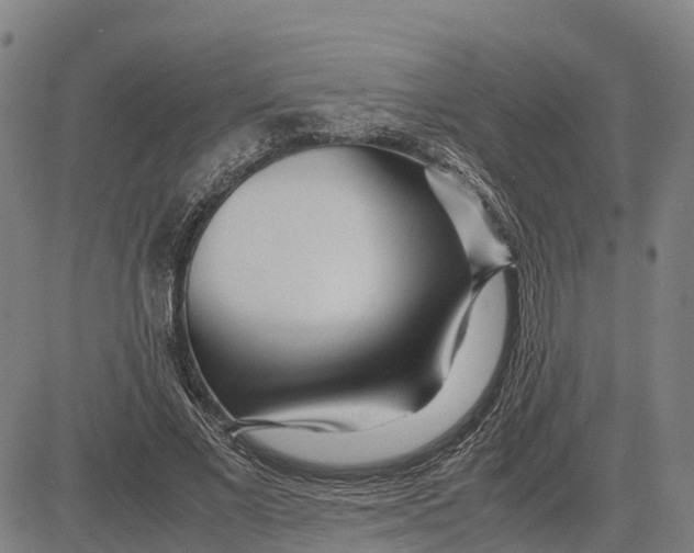 X0000083660685200703051752