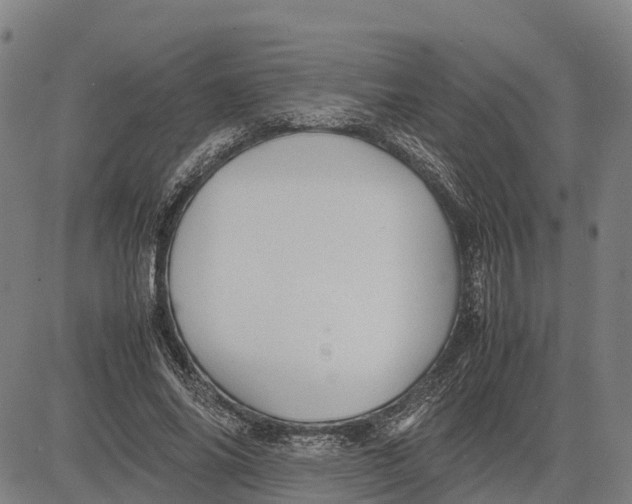 X0000083660686200703051752