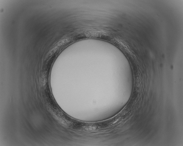 X0000083660687200703051752