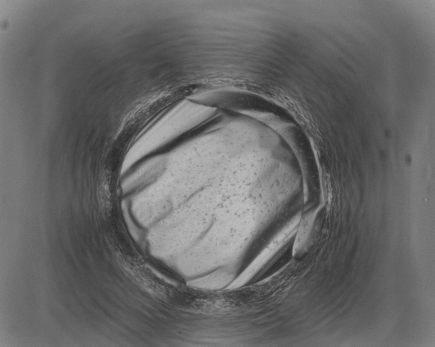 X0000083660688200703051752