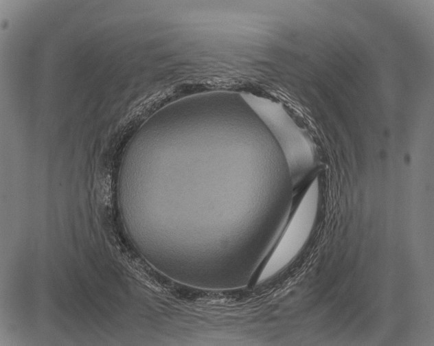 X0000083660689200703051752