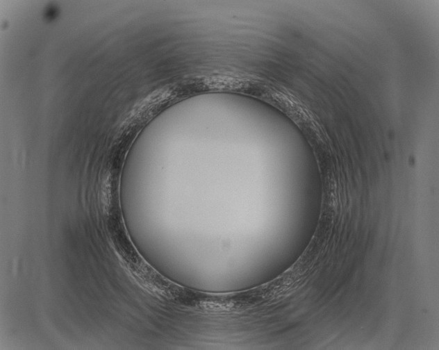 X0000083660690200703051752