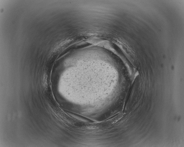 X0000083660692200703051752