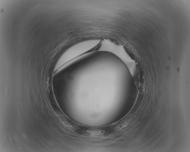 X0000083660693200703051752