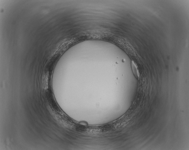 X0000083660694200703051752