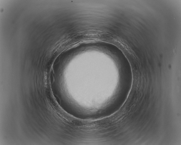 X0000083660696200703051752