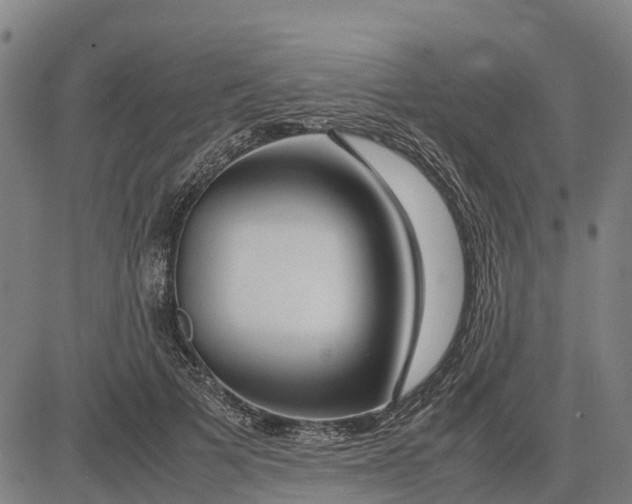 X0000083660697200703051752