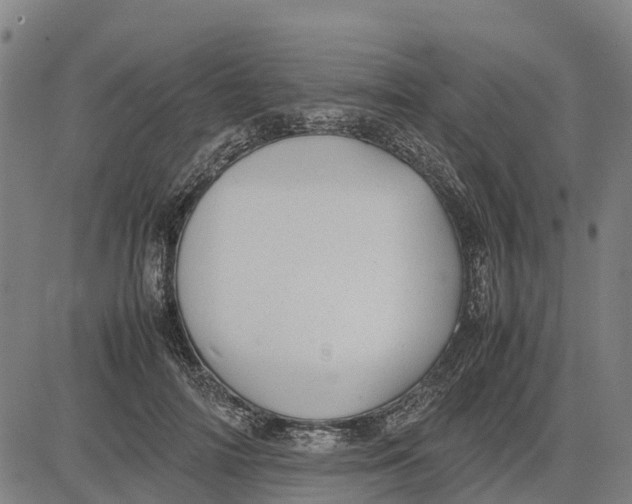 X0000083660698200703051752