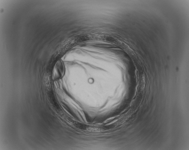 X0000083660699200703051752