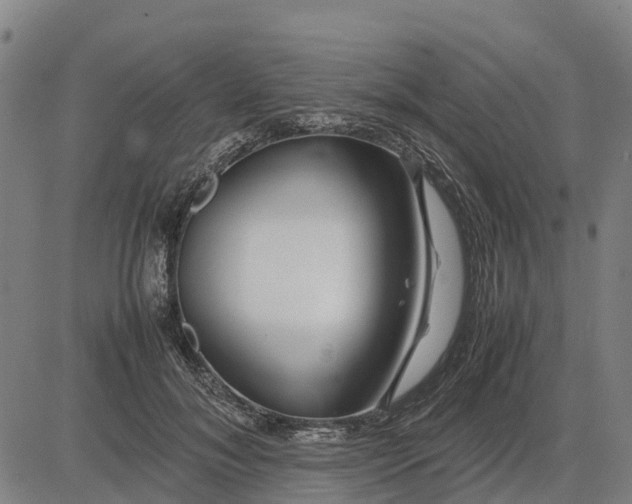 X0000083660700200703051752