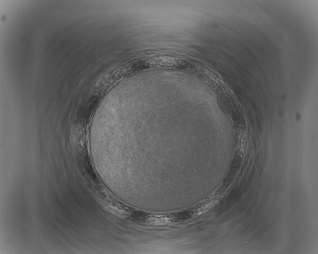 X0000083660701200703051752