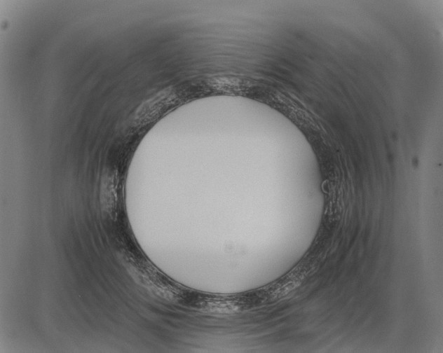 X0000083660702200703051752