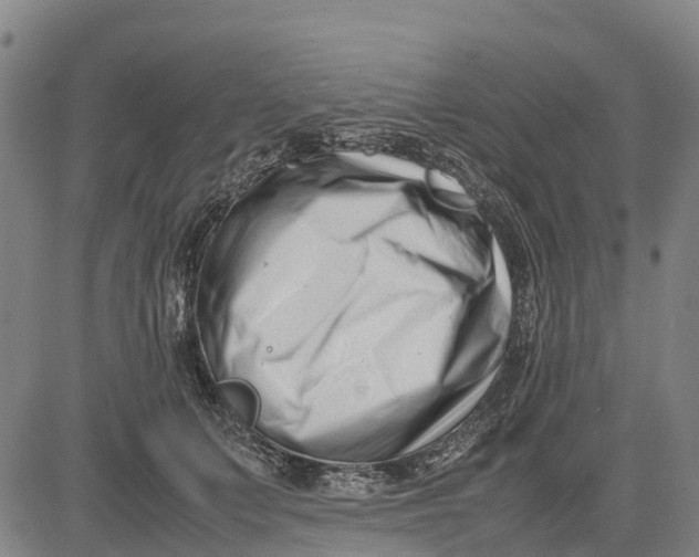 X0000083660703200703051752