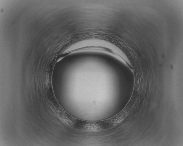 X0000083660704200703051752