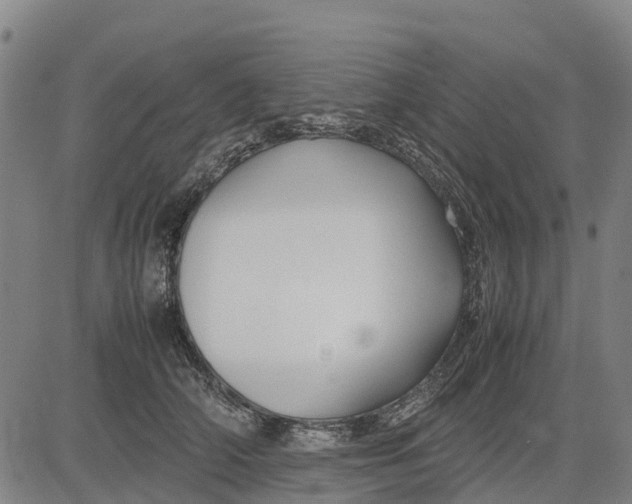 X0000083660706200703051752