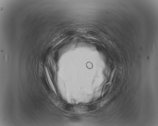 X0000083660707200703051752