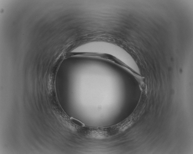 X0000083660708200703051752