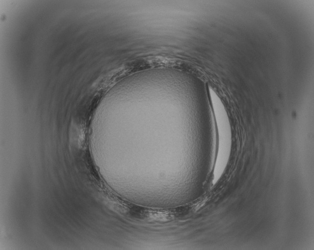 X0000083660709200703051752