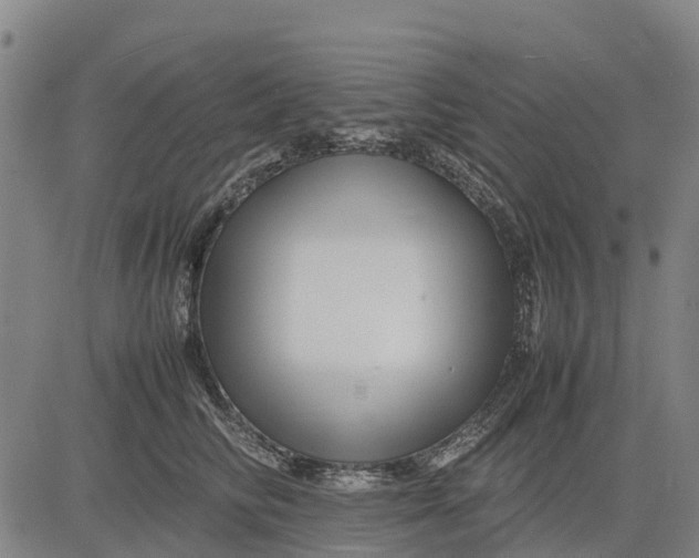 X0000083660710200703051752