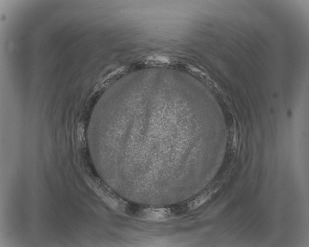 X0000083660711200703051752