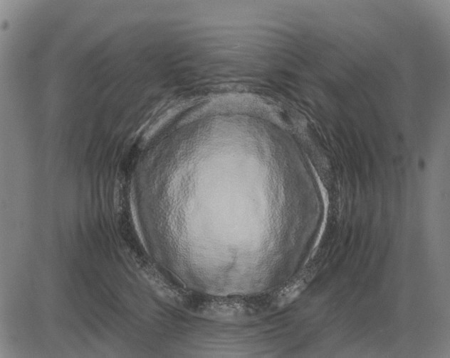 X0000083660712200703051752