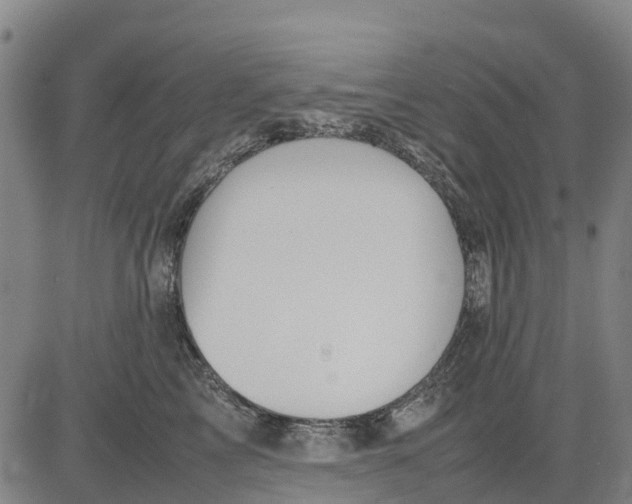 X0000083660713200703051752