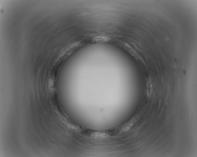 X0000083660714200703051752