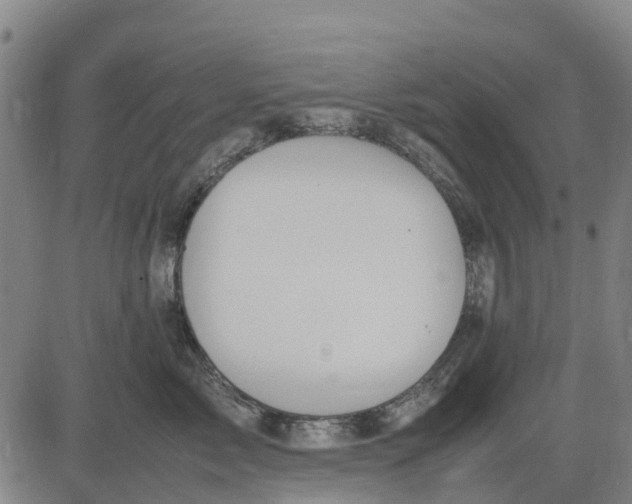 X0000083660717200703051752