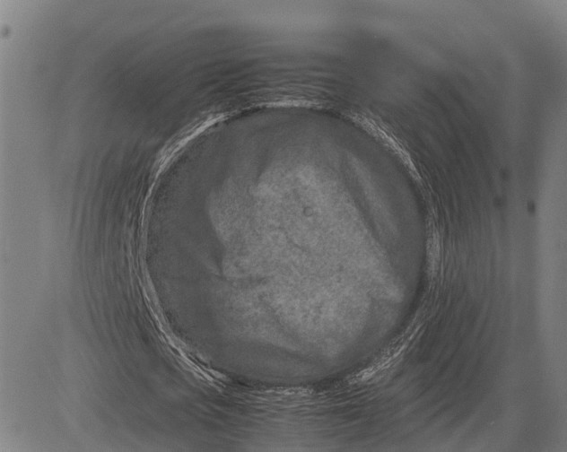 X0000083660721200703051751