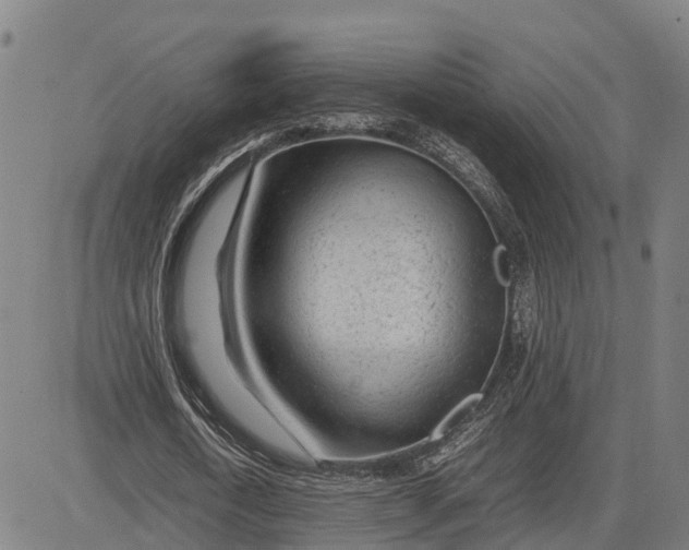 X0000083660722200703051751