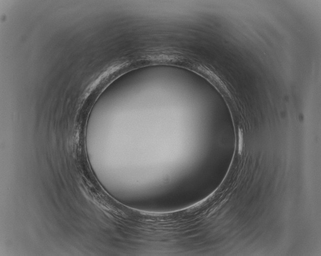 X0000083660723200703051751