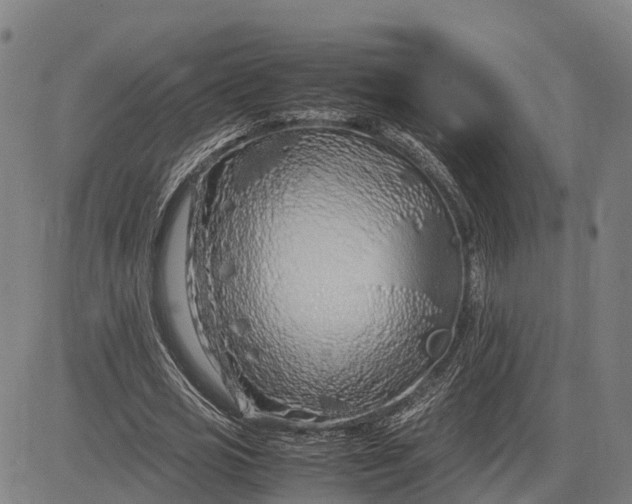 X0000083660725200703051751