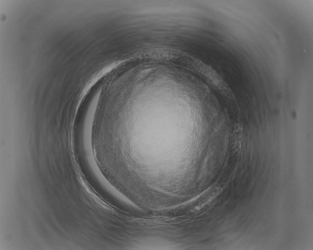 X0000083660726200703051751