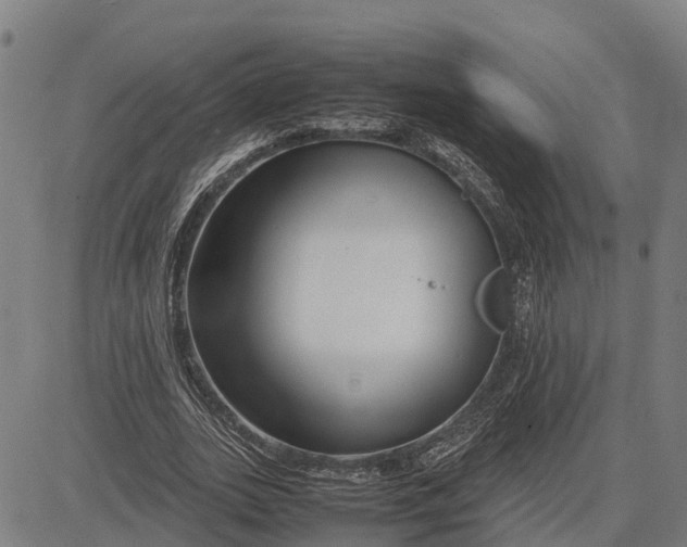 X0000083660727200703051751