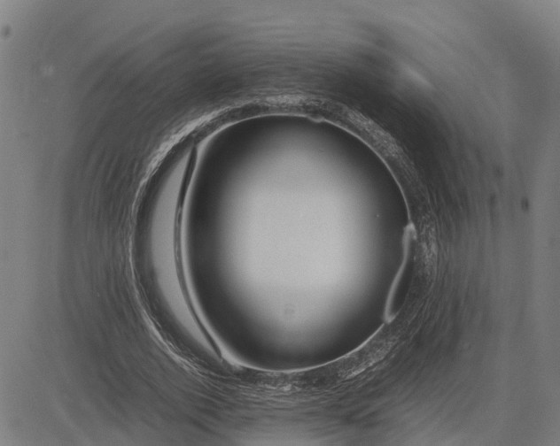 X0000083660728200703051751