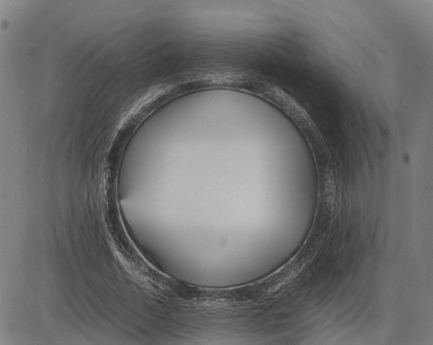 X0000083660730200703051751