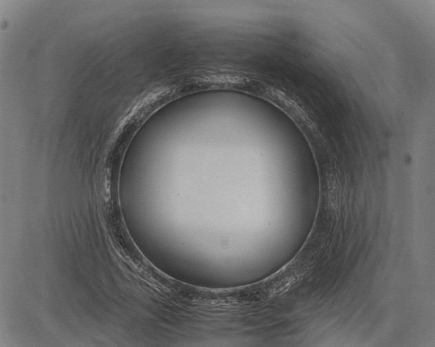 X0000083660731200703051751