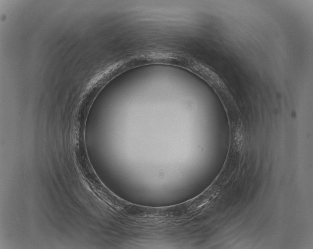 X0000083660732200703051751