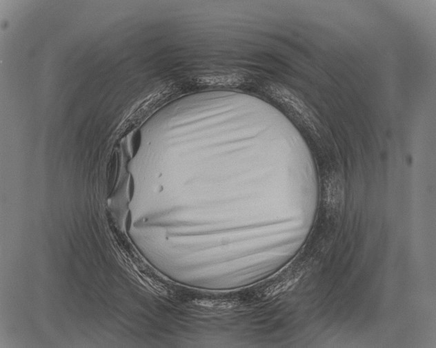 X0000083660733200703051751