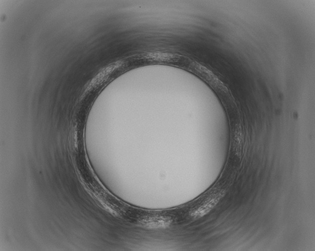 X0000083660734200703051751