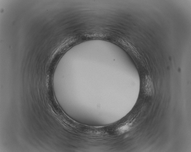 X0000083660735200703051751