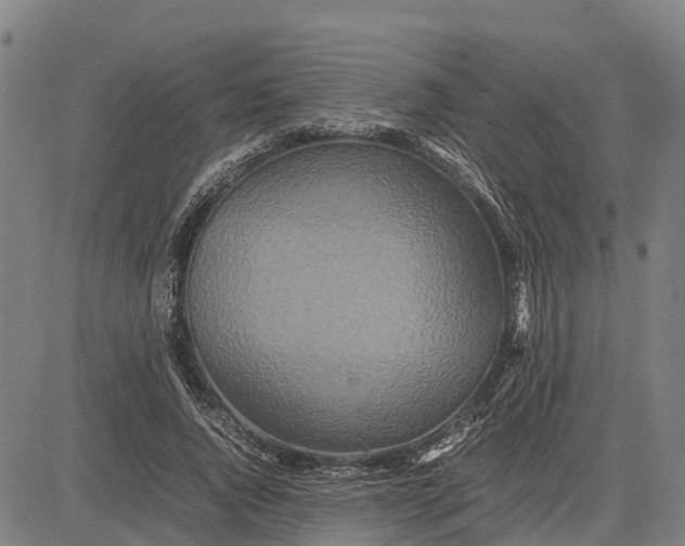 X0000083660736200703051751