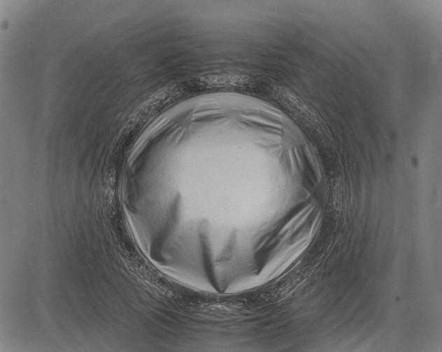 X0000083660737200703051751