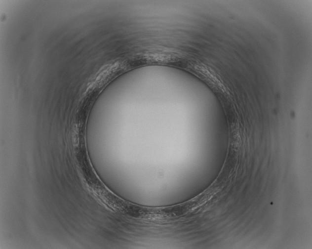 X0000083660738200703051751