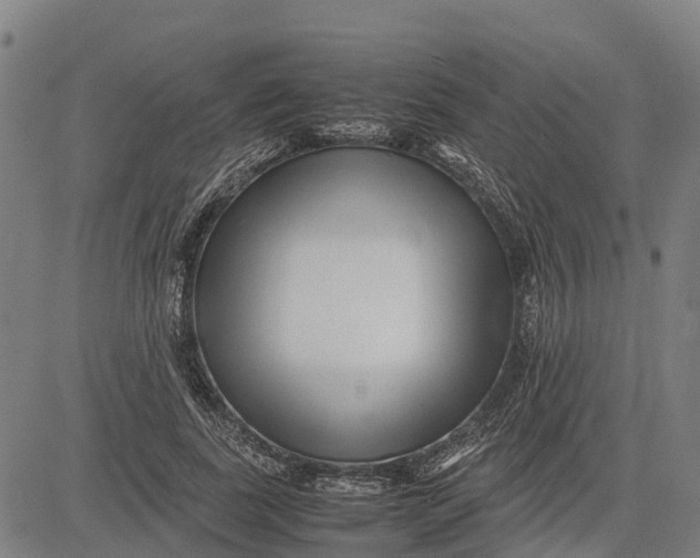 X0000083660739200703051751