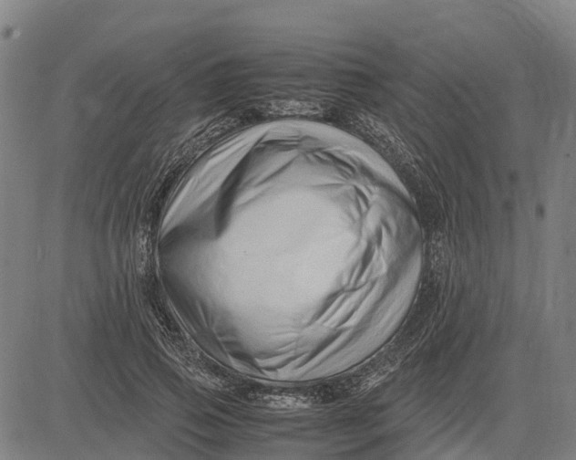 X0000083660741200703051751