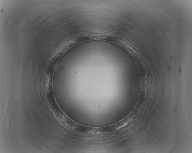 X0000083660742200703051751